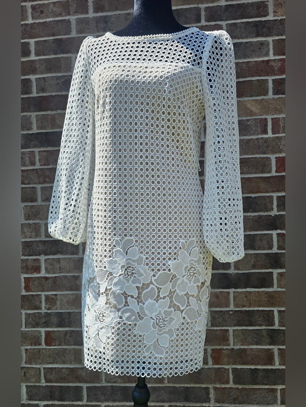 White House Black Market Ivory Lace Eyelet Shift Dress Size 2